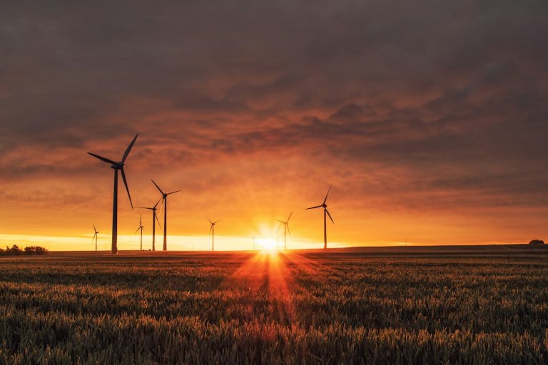 Why Are We Turning Off Wind Farms?