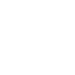 tick